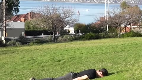 How animals get over a fence