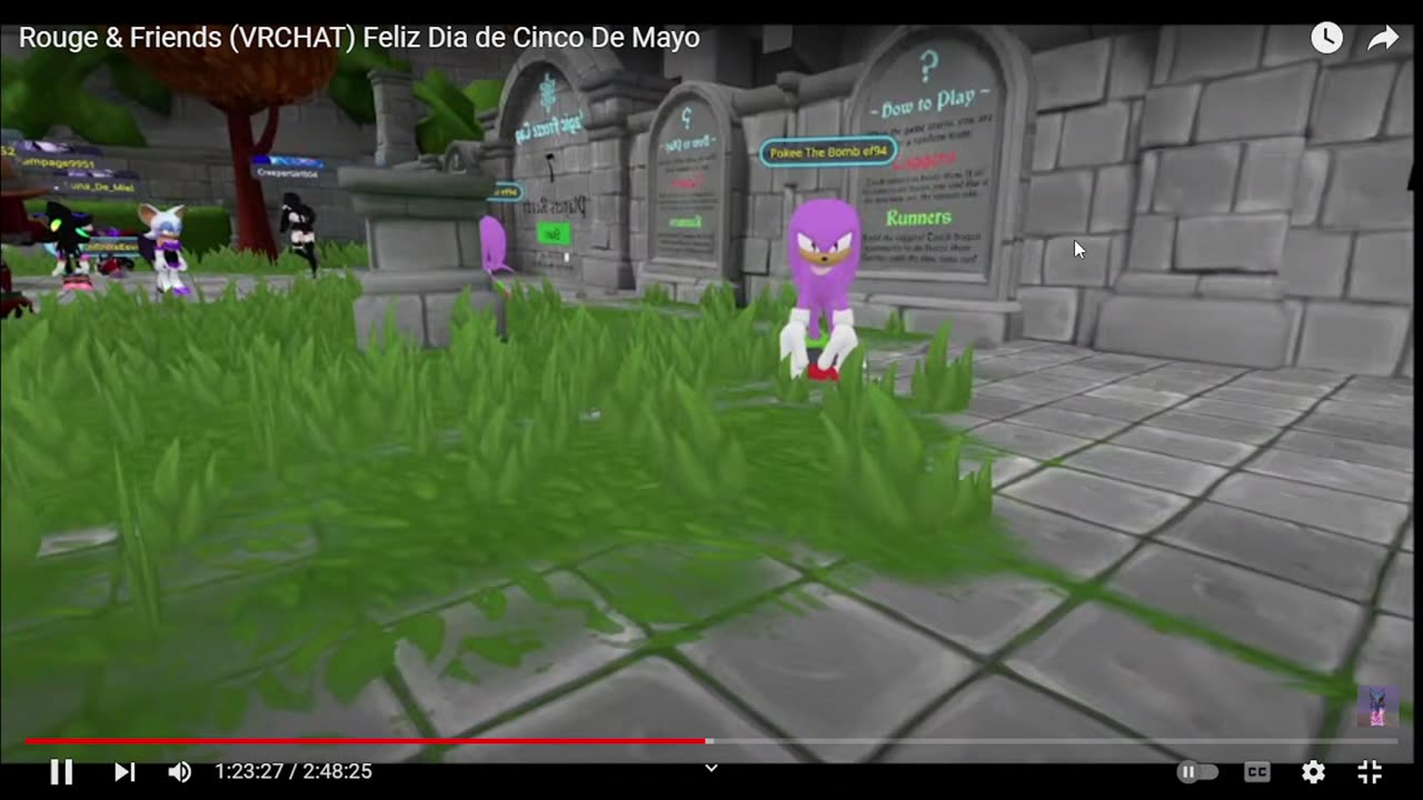 Clips from Oto's Live streams P10