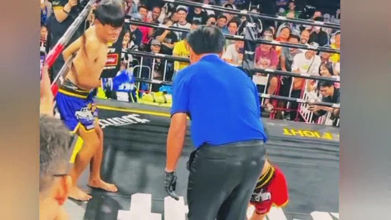 Funny boxing