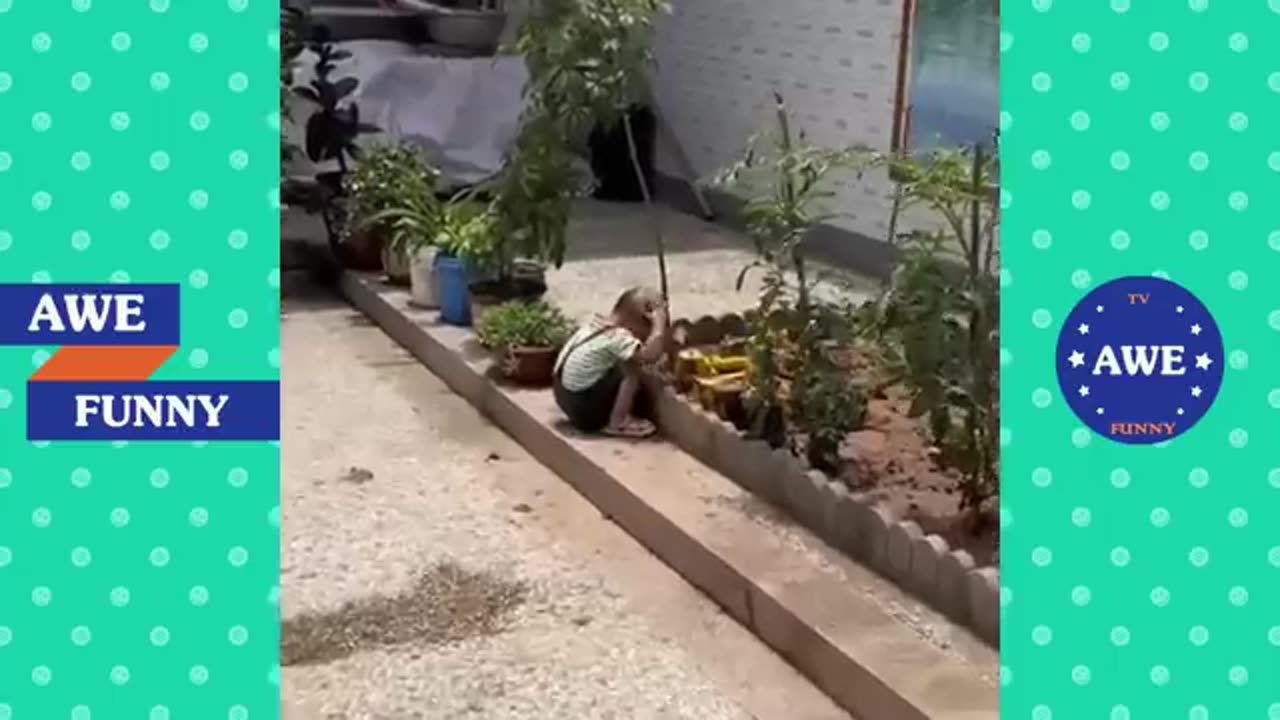 Most funny🤣