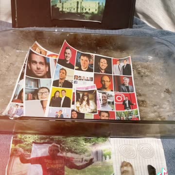 Tim Rifat TikTok Videos