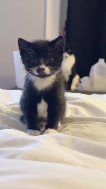 Cinematography deserving of an award