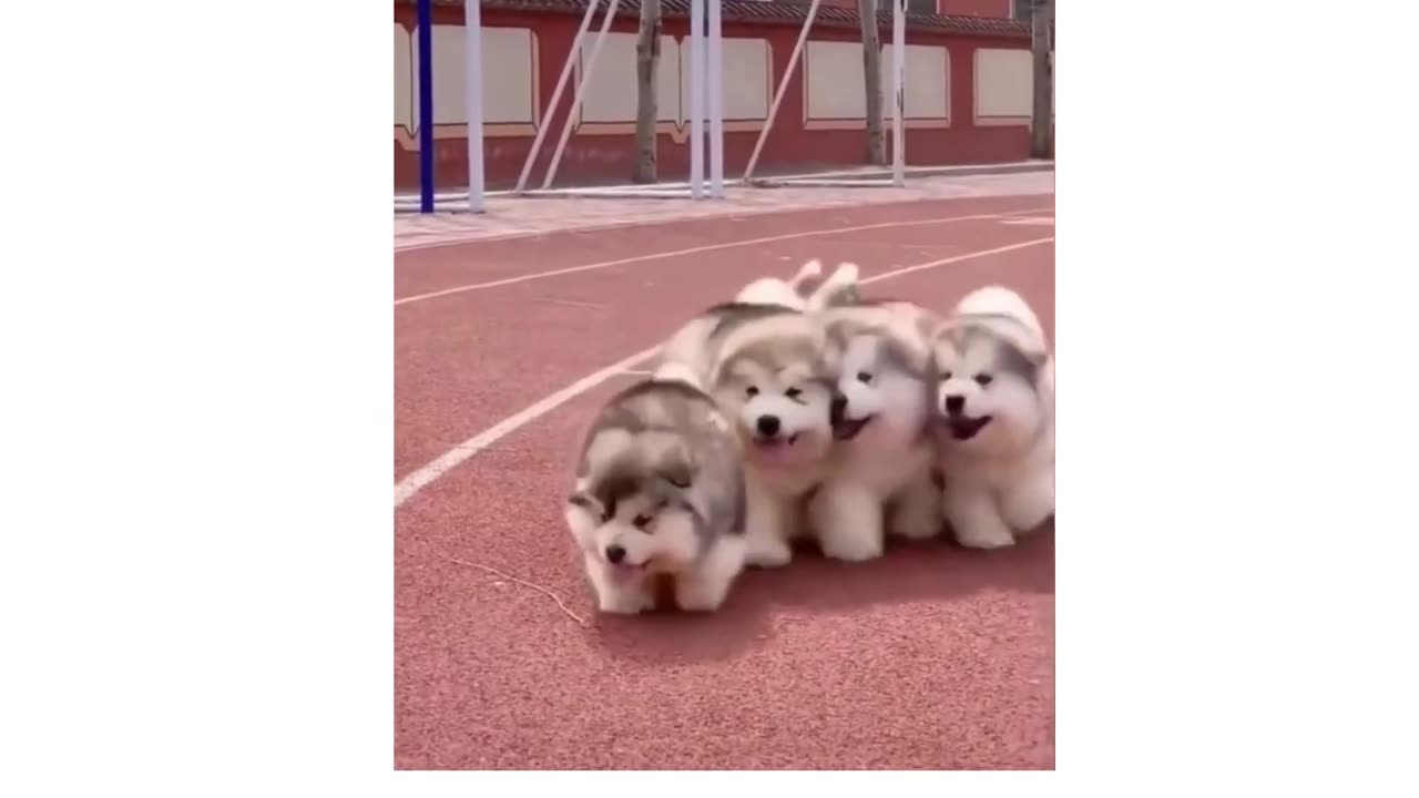 This will make your day.