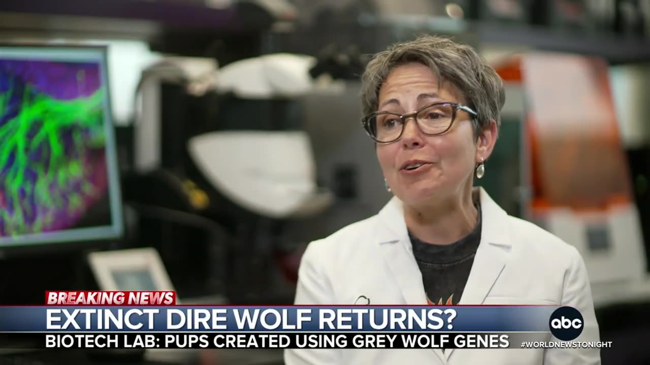 Scientists: Dire wolf brought back from extinction after 13,000 years
