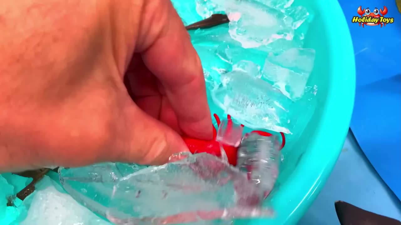 Breaking the Ice that is Frozen on the Crab's Body