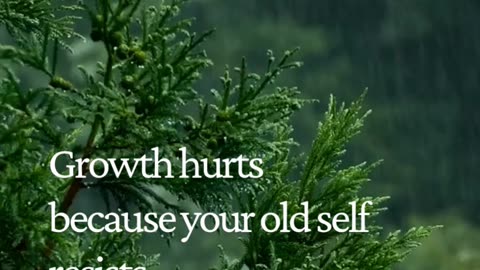 Growth Hurts… But Staying the Same Will Destroy You 💯 | Transform or Stay Stuck