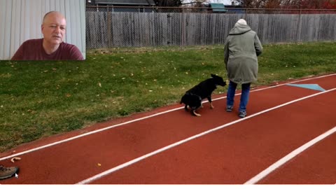 Flipping the Script on Keven Murdaugh's Copy Cat Cesar Millan Approach - Pt 6