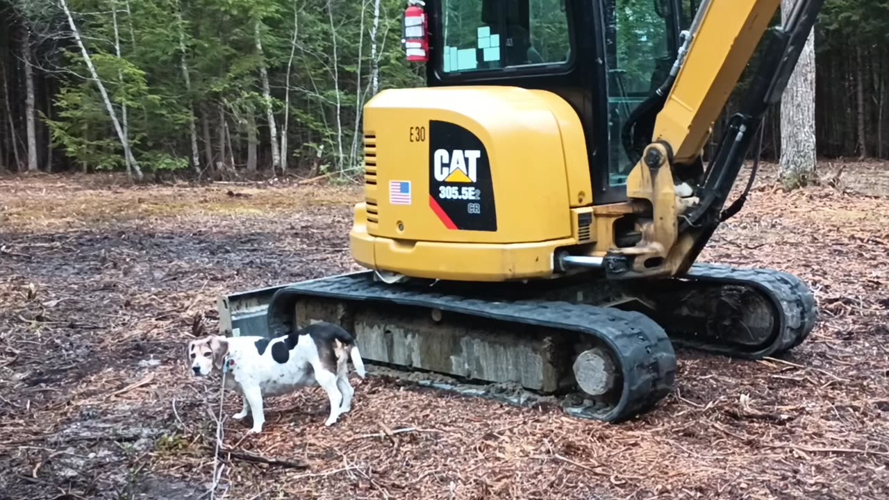 Bandit