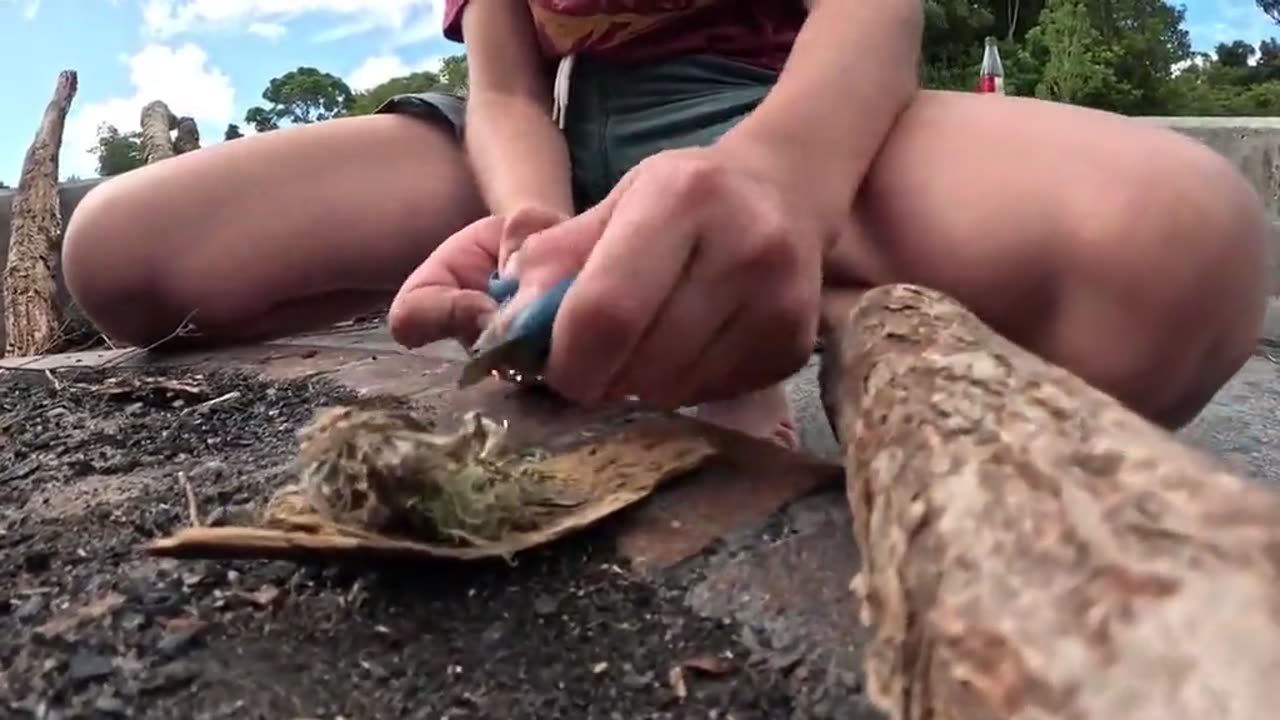 WILDerland Special Billabong and Beyond - WILDerland