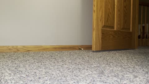 This is a possibility with AI