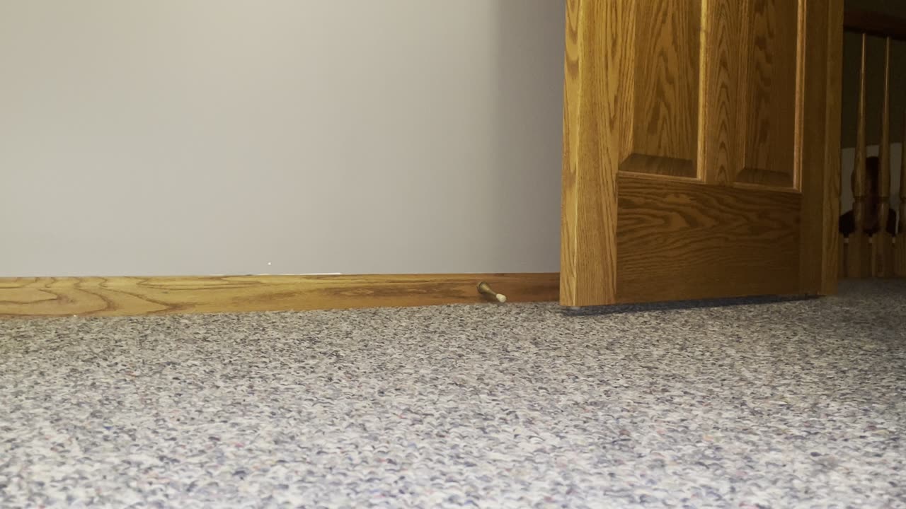 This is a possibility with AI