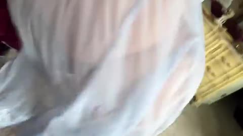 Big Booty Twerk 🍑