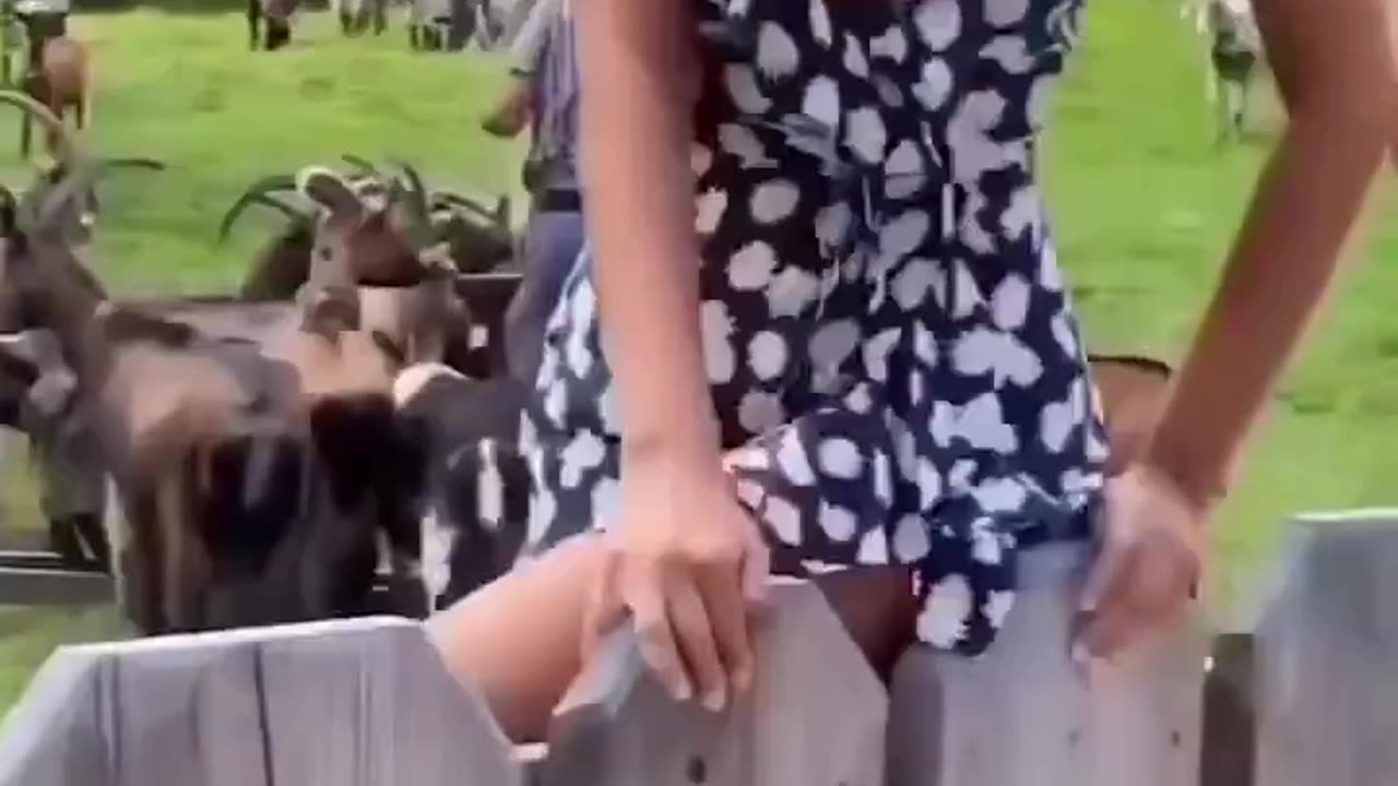 🐐Goat Fu●●keed🧟‍♀️