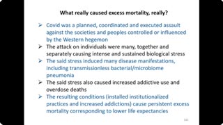 Excess Mortality: What Really Caused It, Really? | Professor Denis Rancourt