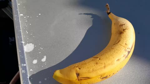 This is a banana