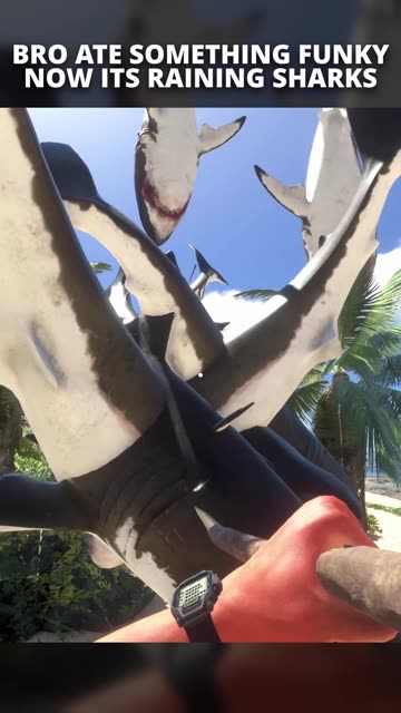 Now Its Raining Sharks