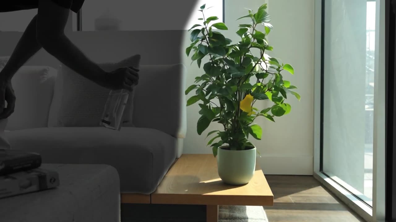 Runway Generative Visual Effects