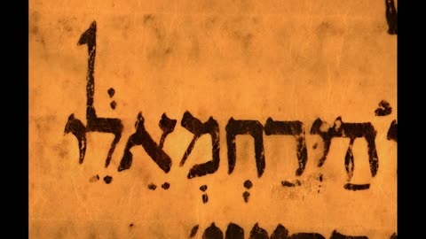 Un Rudo Despertar Live