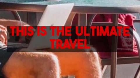 Crash Course: Fly Business Class & Stay 5-Star Affordably with Mighty Travels PREMIUM