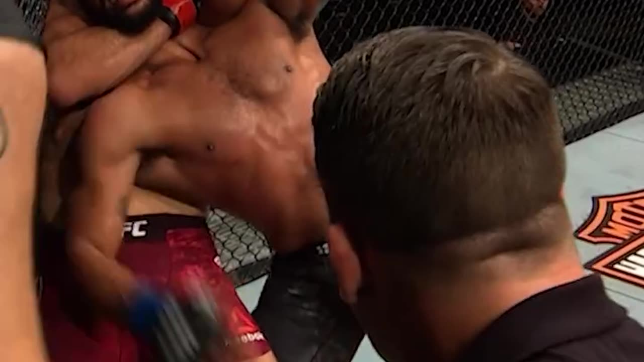 Jan Blachowicz Best UFC Finishes 🇵🇱 💥