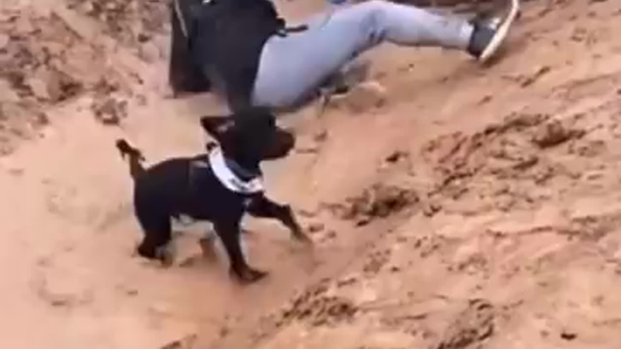 So funny 🤣🤣🤣