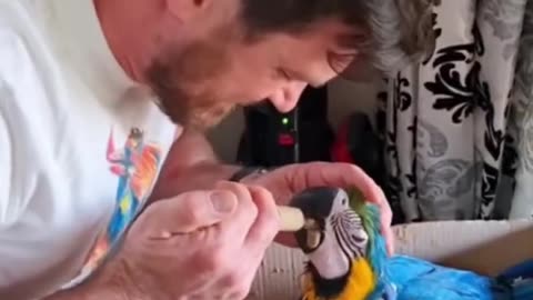 Heart Touching Rescued