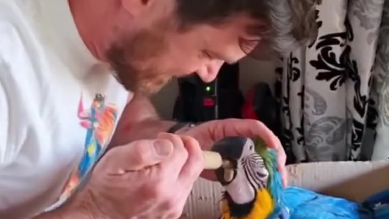 Heart Touching Rescued
