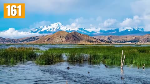 371 Facts You Never Knew You Wanted to Know The Useless Show Compilation