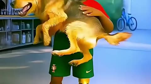 IShowSpeed meets dog!