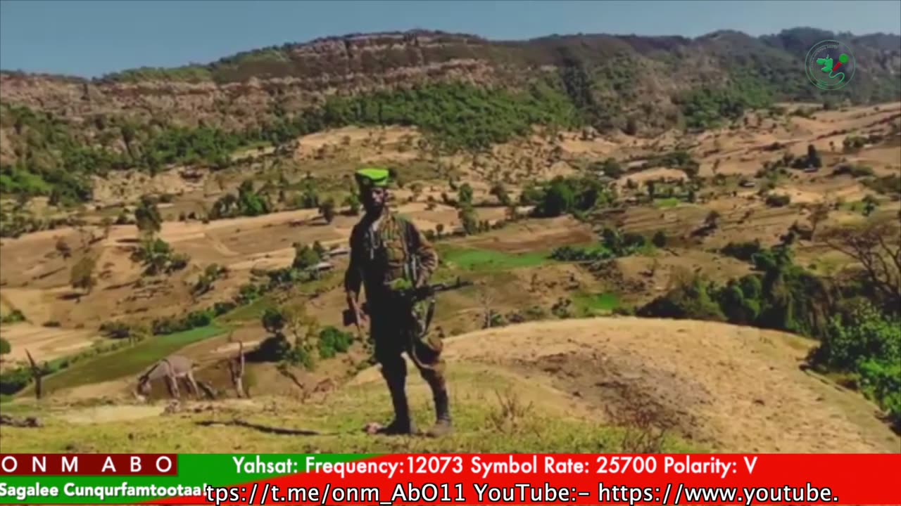 Qophii Humna Weelluu ONM-ABO Caamsaa 14-2025 itti dhiyaadhaa!