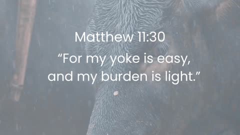 Matthew 11:30