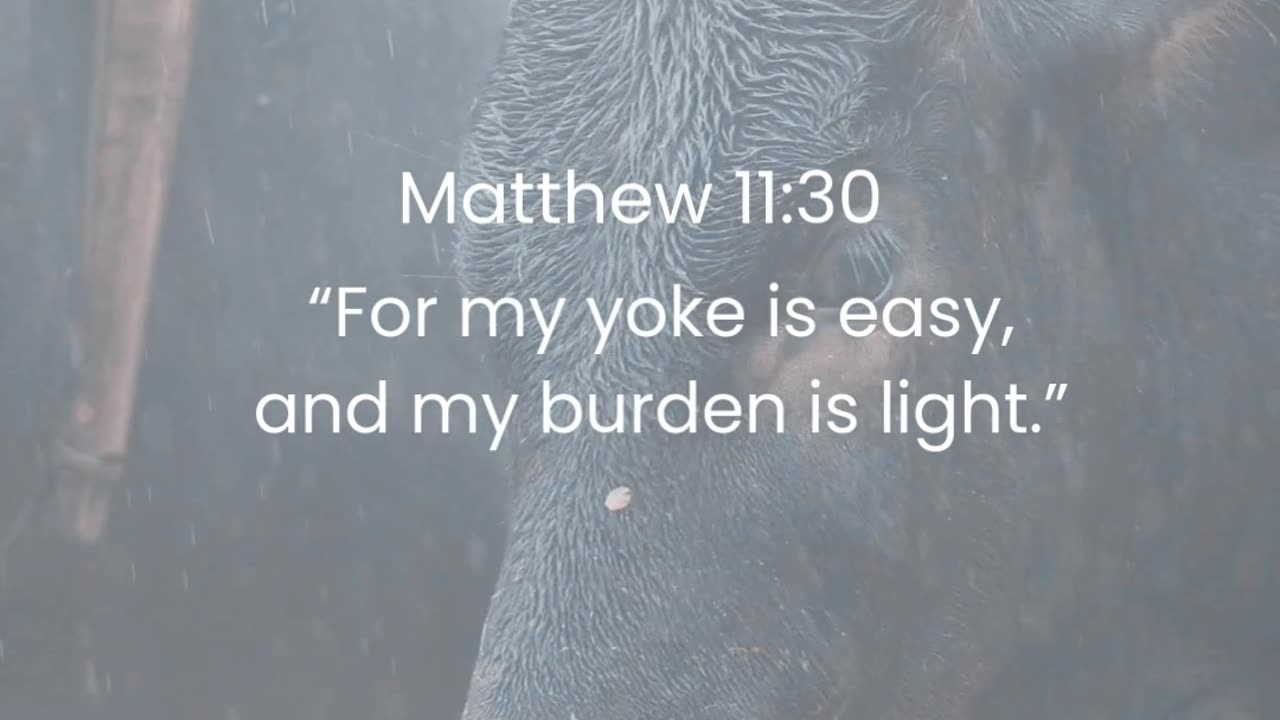 Matthew 11:30