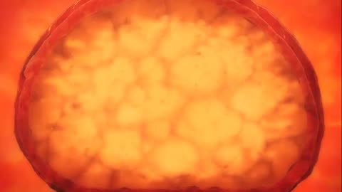 Food Wars - Episode 01 - Season 1 (Tagalog Dub)