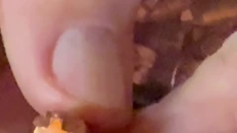 Is there an advantage to fluted or non-fluted bullets?