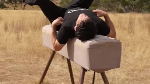 If Animals did the parkour