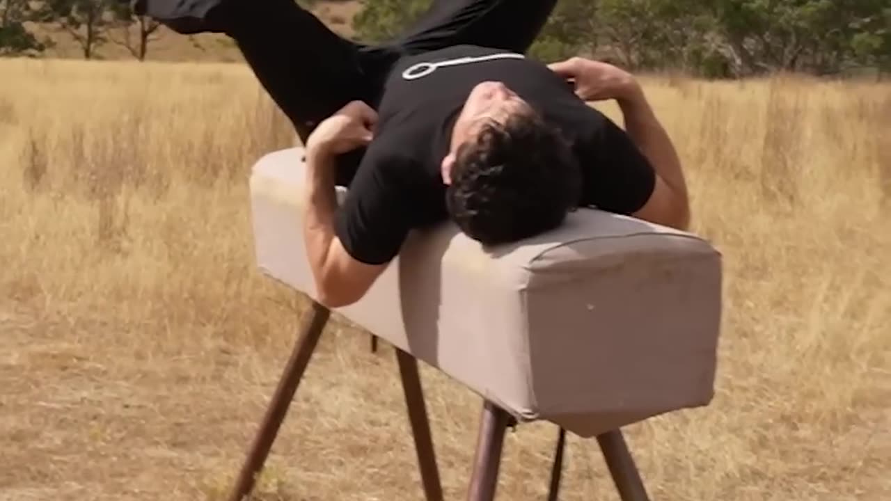 If Animals did the parkour