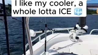 ICE keeps the country CHILL 😎 (Via knotyouraverageboat on IG)