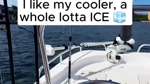 ICE keeps the country CHILL 😎 (Via knotyouraverageboat on IG)