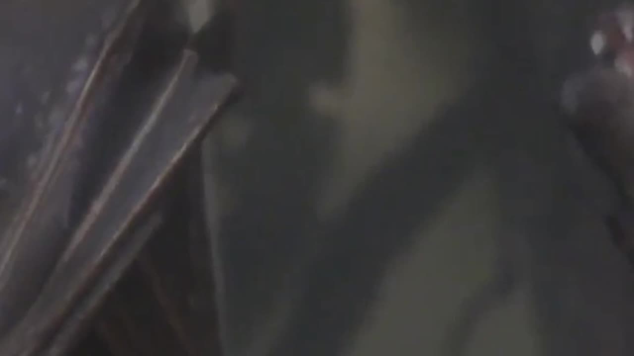 Can a Bat Really Get Tangled in Your Hair? Here is the Surprising Truth!