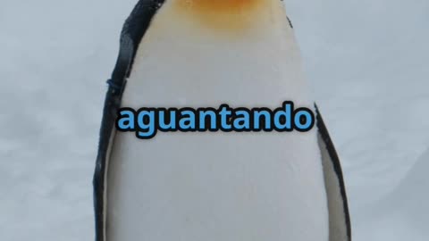 Padres del reino animal-Amazing Animal Dads You Won’t Believe! 🐾💜