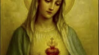 Fr Hewko, Immaculate Heart of Mary "Key to Her Triumph!" 8/22/25 [Audio]