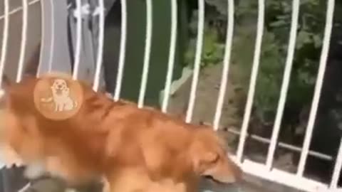 Awe and fear