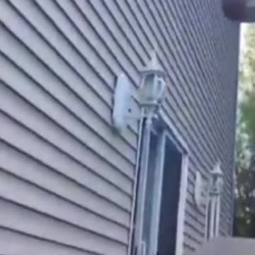 Try to not laugh 😂