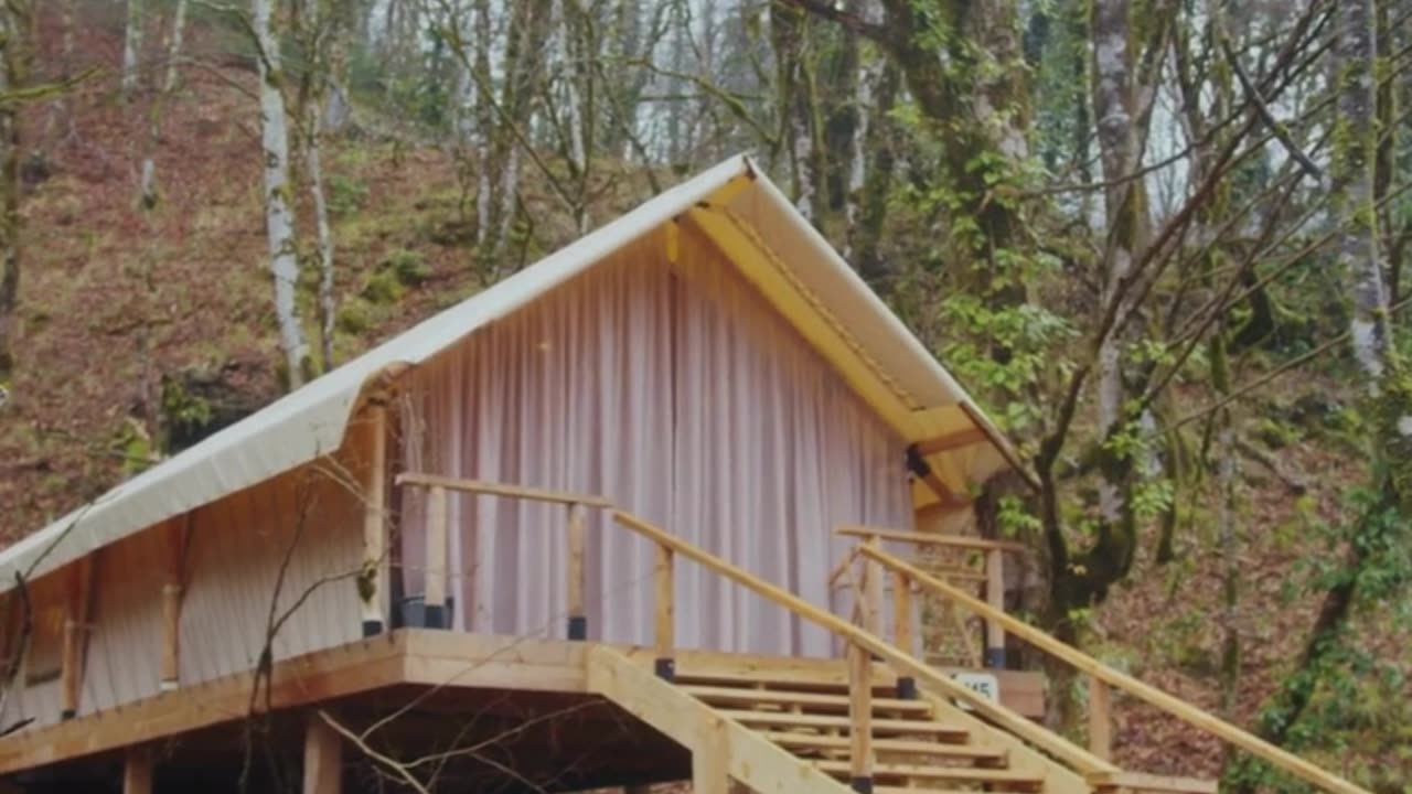 Beautiful Tree House in Woods