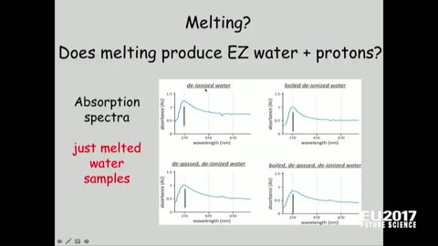 The Thunderbolts Project - Gerald H. Pollack: Weather & EZ Water | EU2017