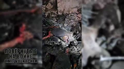 Ukraine Russia war combat/related footage 12/7/2025