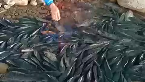 Hand Fishing lucky and easy some times