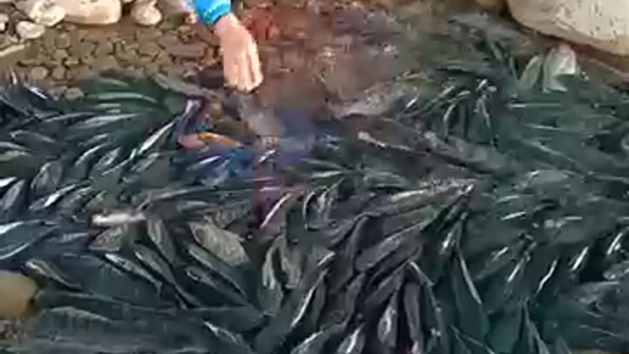Hand Fishing lucky and easy some times