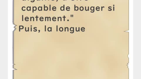 Seconde aiguille et longue aiguille - Huhito Fables-Version française Vol.36
