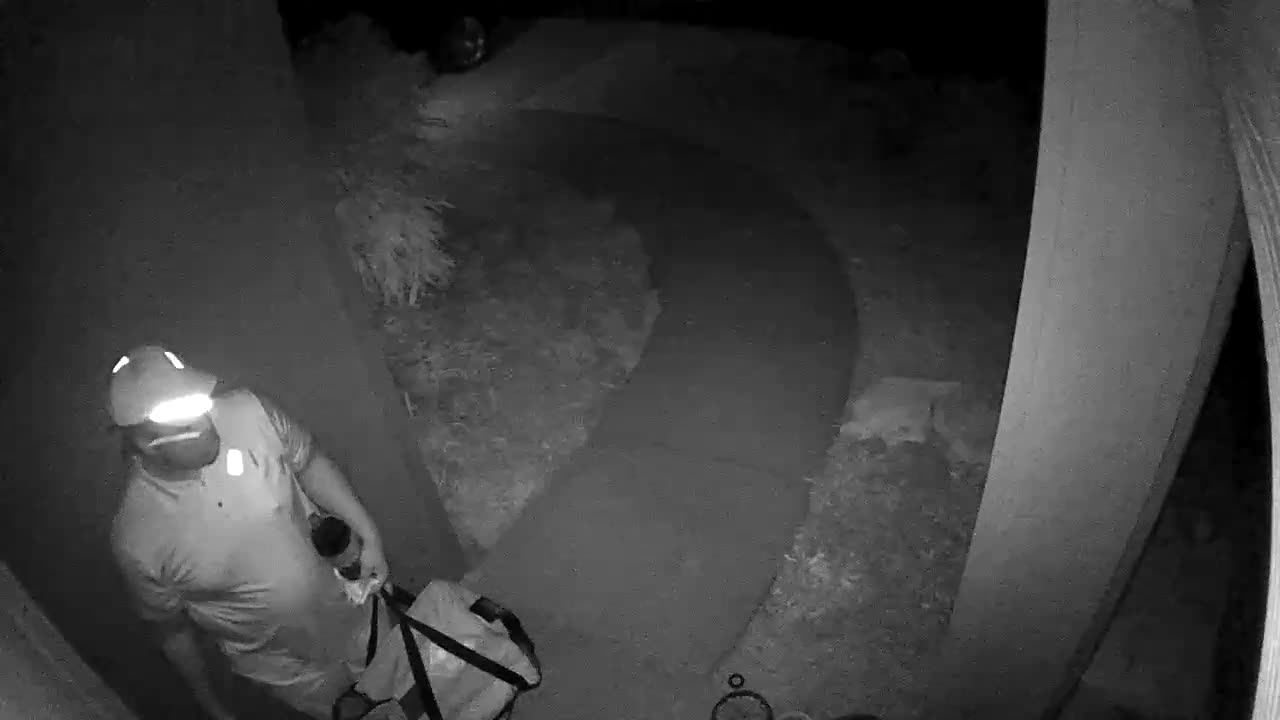 More pizza deliveries
